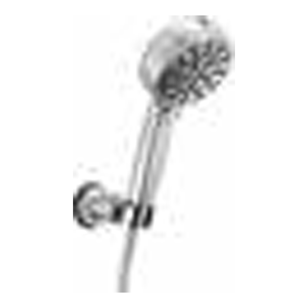 ProClean Multi-Function Shower Head-PR
